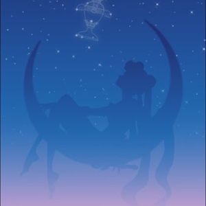 Meet your Posher, Joy